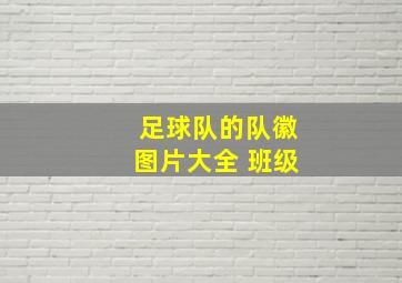 足球队的队徽图片大全 班级